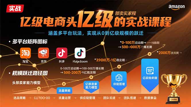（15803期）亿级电商头部卖家的实战课程：涵盖多平台玩法，实现从0到亿级规模的跃迁-入圈