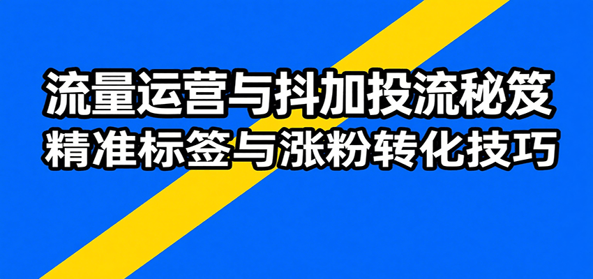 流量运营与抖加投流秘笈，含算法解析、爆款打造、精准标签与涨粉转化技巧-入圈