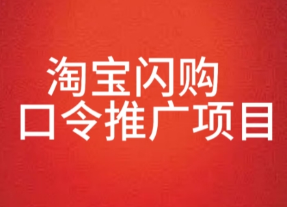 淘宝闪购口令推广项目，收益可观，一部手机，一个抖音号即可操作-入圈