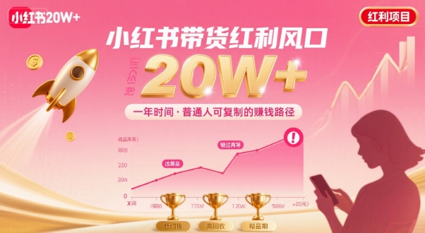 一年时间靠小红书带货项目年入20w+，最不能错的大红利项目-入圈