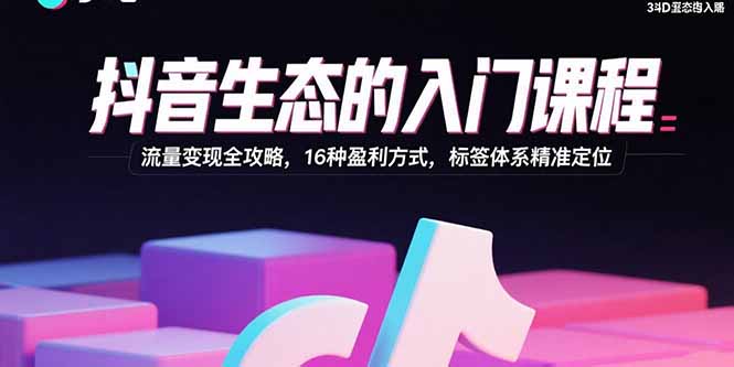 （15856期）抖音生态的入门课程：流量变现全攻略，16种盈利方式，标签体系精准定位-入圈