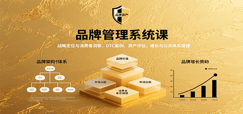 品牌管理系统课：战略定位与消费者洞察，DTC案例、资产评估，增长与公关体系搭建-入圈