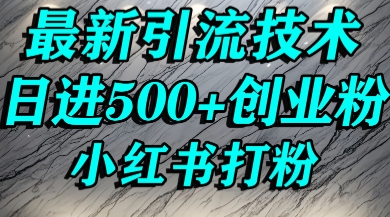 小红书精准引流创业粉，前辈求带孩子走投无路了，单人操作日引500+精准创业粉-入圈
