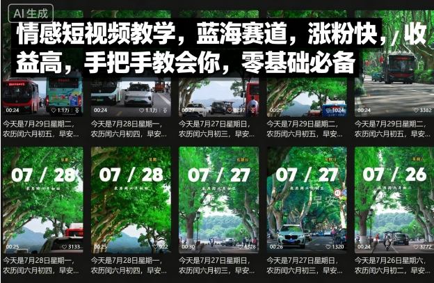 情感短视频教学，蓝海赛道，涨粉快，收益高，手把手教会你，零基础必备-入圈