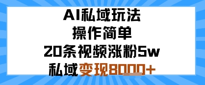 AI私域玩法，操作简单，20条视频涨粉5w，私域变现8k+-入圈
