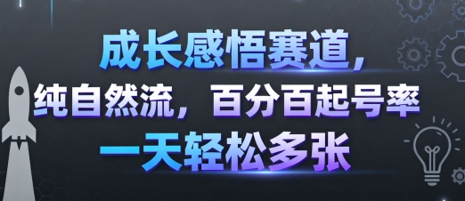成长感悟赛道，纯自然流，百分百起号率 一天轻松多张-入圈