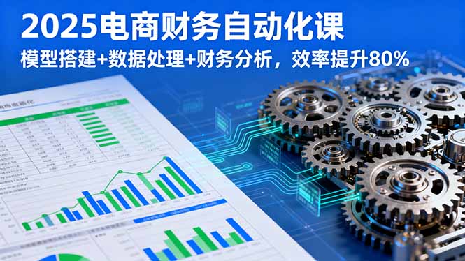 （16021期）2025电商财务自动化课，模型搭建+数据处理+财务分析，效率提升80%-入圈